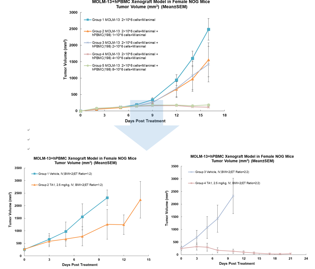 Tumor growth and drug efficacy evaluation of PBMC humanized mouse lymphoma transplantation model.png Tumor growth and drug efficacy evaluation of PBMC humanized mouse lymphoma transplantation model.png