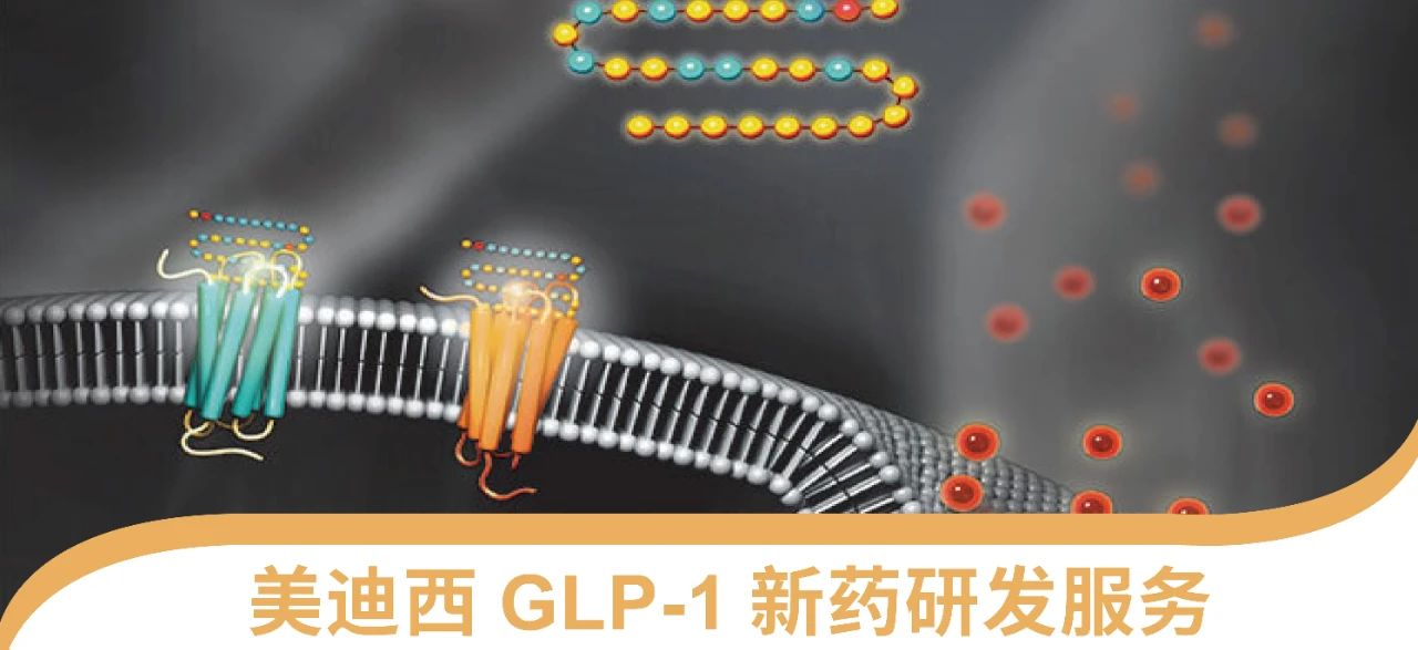 熊猫体育一站式 丨 “GLP-1”新药研发服务能力介绍