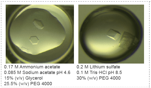 KRASG12D的筛选.png KRASG12D的筛选.png