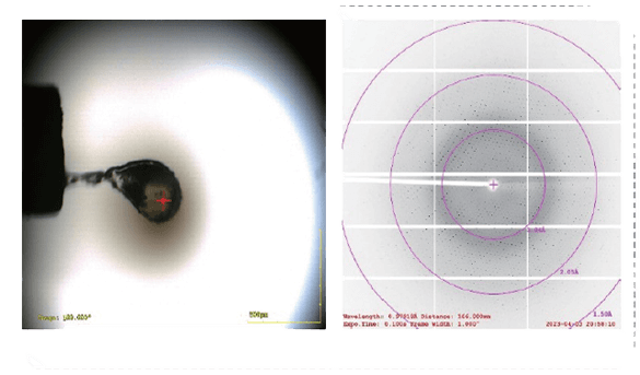 KRASG12D的X射线衍射数据.png KRASG12D的X射线衍射数据.png