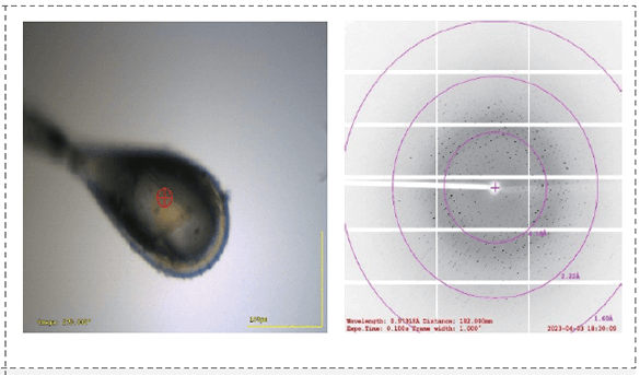 共晶的X射线衍射数据.png 共晶的X射线衍射数据.png
