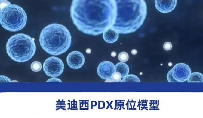 熊猫体育118种PDX原位模型，助力肿瘤药物研发